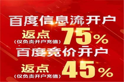 谷歌竞价广告的实时监控与调整策略——某公司经验分享